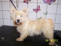 /album/fotogaleria/a000-1004-jpg/