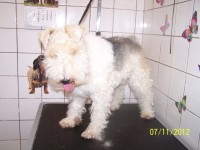 /album/fotogaleria/a000-1032-jpg/