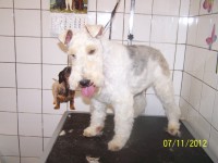 /album/fotogaleria/a000-1037-jpg/