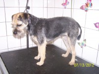 /album/fotogaleria/a000-1039-jpg/