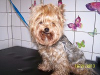 /album/fotogaleria/a000-1256-jpg/