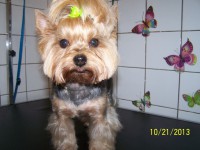 /album/fotogaleria/a000-1262-jpg/