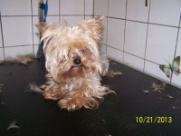 /album/fotogaleria/a000-1258-jpg/