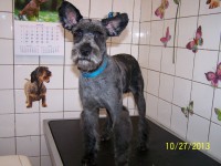 /album/fotogaleria/a000-1271-jpg/