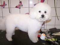 /album/fotogaleria/a000-1148-jpg/