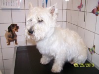 /album/fotogaleria/a000-1183-jpg/