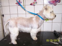 /album/fotogaleria/a000-1186-jpg/