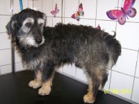 /album/fotogaleria/a000-1229-jpg/