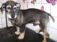 /album/fotogaleria/a000-1232-jpg/