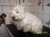 /album/fotogaleria/a000-1249-jpg/