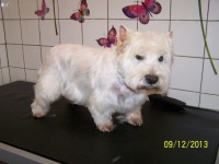 /album/fotogaleria/a000-1251-jpg/