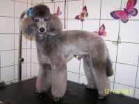 /album/fotogaleria/a000-1293-jpg/