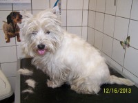 /album/fotogaleria/a000-1296-jpg/