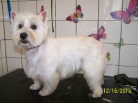 /album/fotogaleria/a000-1297-jpg/