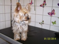 /album/fotogaleria/a000-1308-jpg/