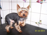 /album/fotogaleria/a000-1314-jpg/