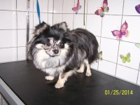 /album/fotogaleria/a000-1322-jpg/