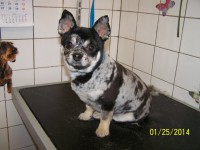 /album/fotogaleria/a000-1325-jpg/