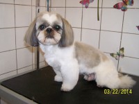 /album/fotogaleria/a000-1333-jpg/